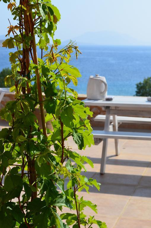 Villa Aristoteles Chalki Town Habitación foto